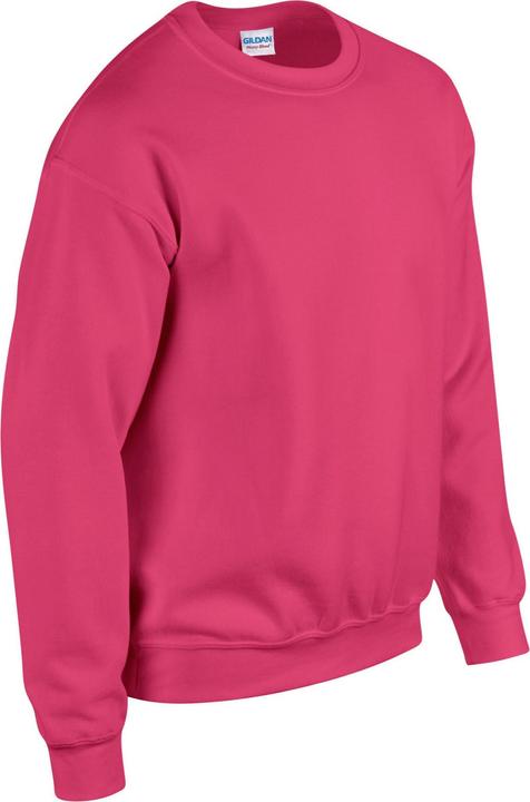 Image du produit Gildan - Sweat - Homme (L)