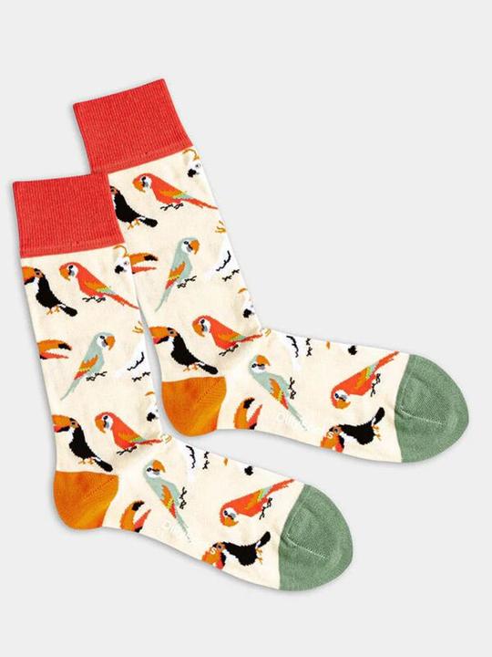 DillySocks Sand Aviary (Einzelpack, One Size)