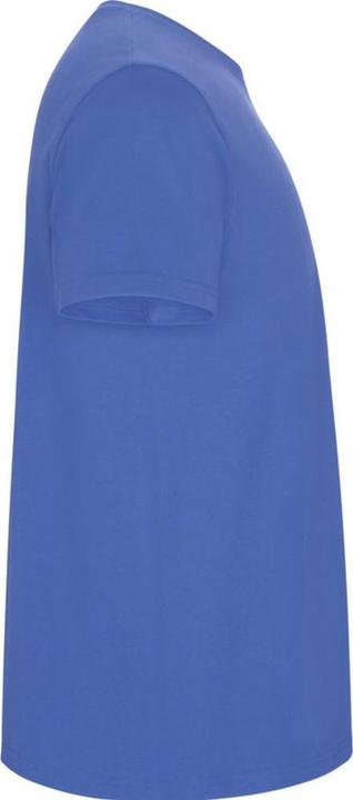 Actual product image Alpinia Mens Stafford T-Shirt (XL)