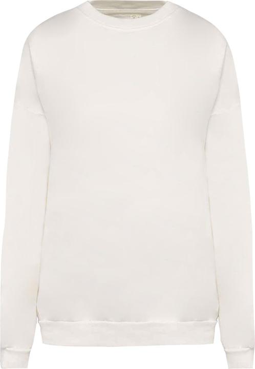 Native Spirit Sweatshirt (L)