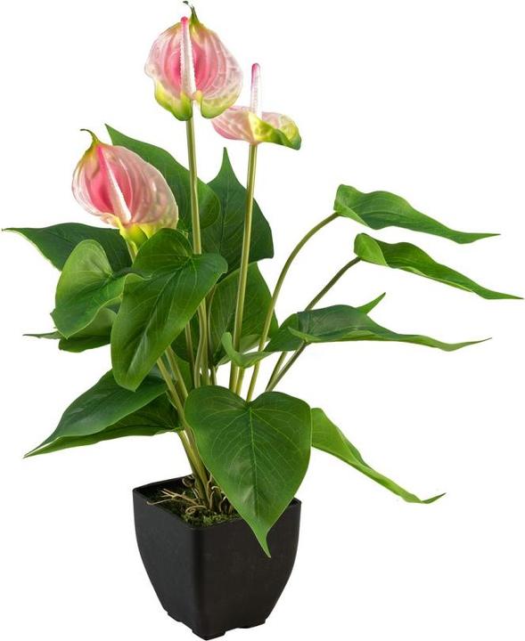 Immagine prodotto Europalms Anthurium, pianta artificiale, bianco rosa