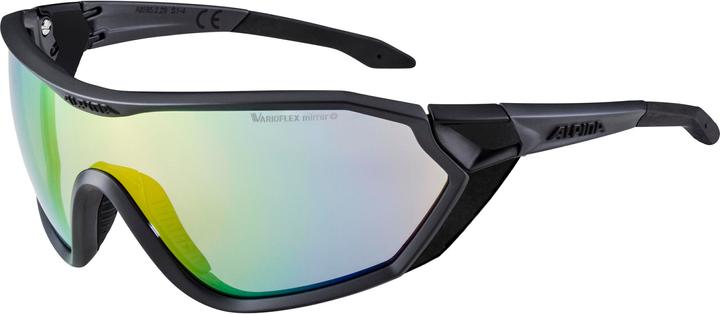 ALPINA SPORTS S-Way V (Noir, Vert)