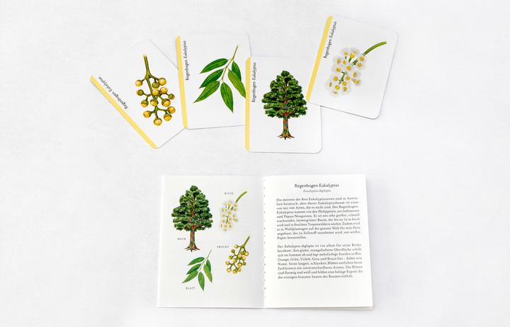 Image du produit 441876 - Arbre-Familles - Jeu de cartes, 3-8 joueurs, à partir de 6 ans (édition DE) (Allemand)