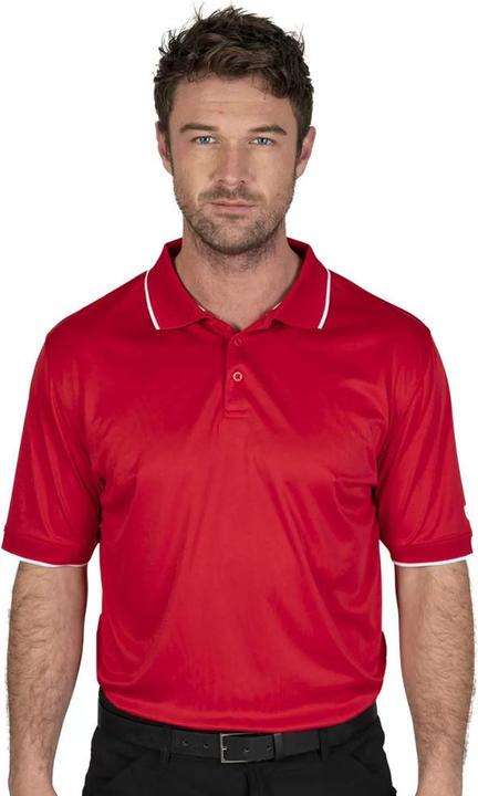 Produktbild Island Green Poloshirt (L)