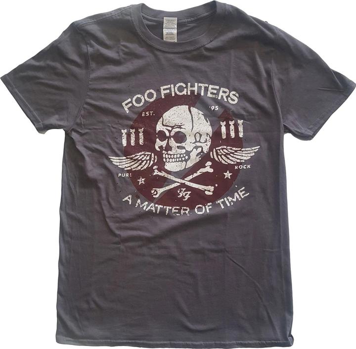 Produktbild Foo Fighters Matter of Time (L)