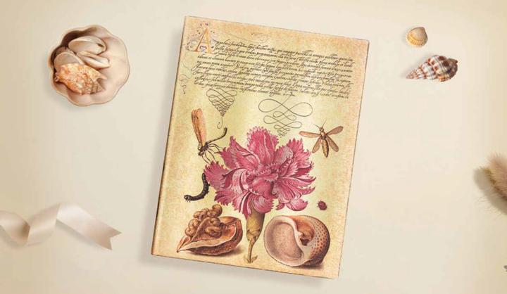 Produktbild Paperblanks Notizbuch FB Ultra Rosa Nelke lin. (170 x 225 mm, Liniert, Weicher Einband)