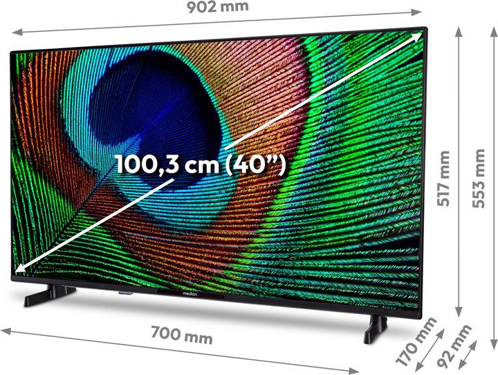 Produktbild Medion LIFE P14031 (MD 29242) Android TV™ (40", LCD, Full HD)