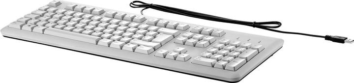 Actual product image HP B6B64AA (DE, Cable)