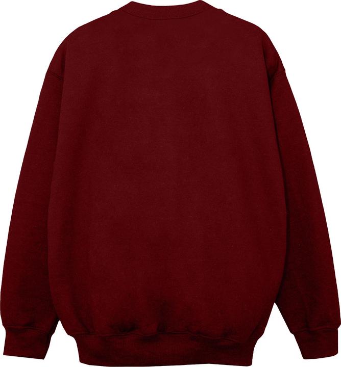 Immagine prodotto Friends Fair Isle Central Perk Felpa Ragazze (116)