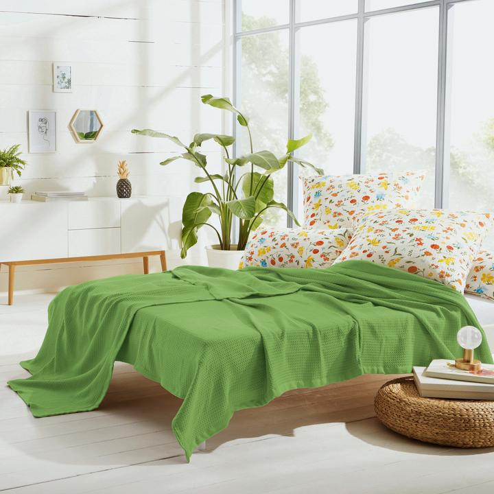 Actual product image Erwin Müller Summer blanket (220 x 240 cm)