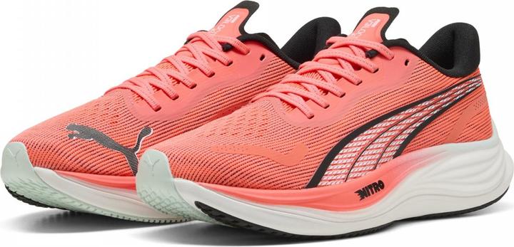 Image du produit Puma Velocity NITRO 3 (43)