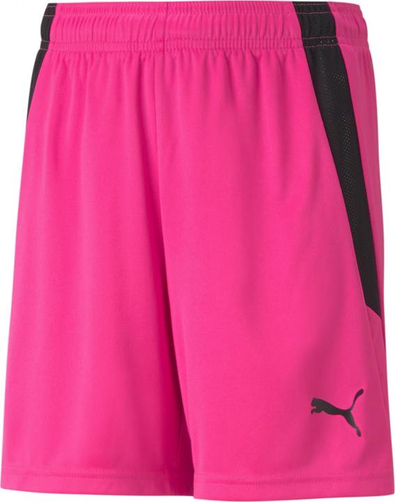 Image du produit Puma short teamLIGA Jr-704931 (116)