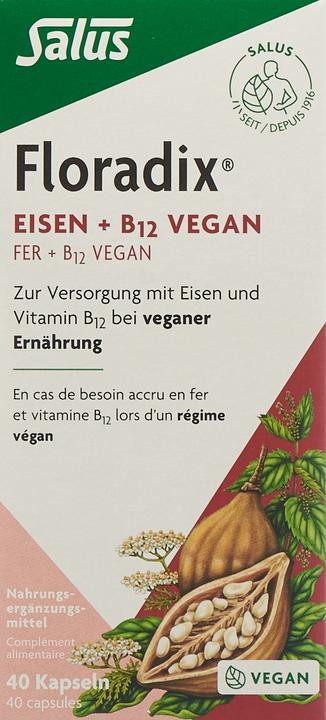 Actual product image Floradix Iron and B 12 Vegan (1 Piece, Capsules, 37 g)