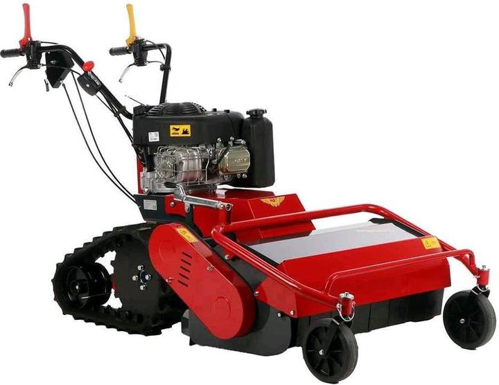 Benassi TR 800 ProfiRasenmäher mit Raupenantrieb B und S 3125E