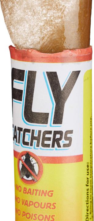 Actual product image Relaxdays 24 Fly Catcher Adhesive Toxic-free Rolls