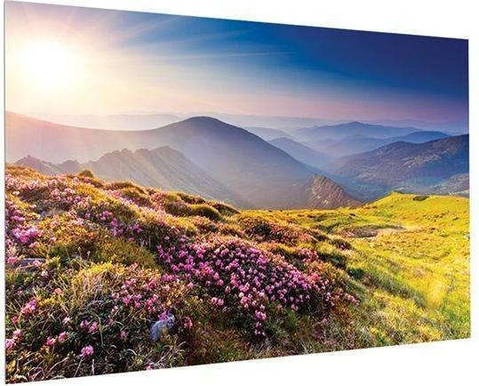 Actual product image Projecta Full Vision 313x500 HD Pro 1.3 16:10 no Border (232", 16:10)