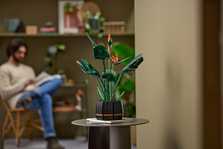 Produktbild LEGO Bird of Paradise (10289, LEGO Seltene Sets)