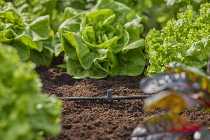 Produktbild Gardena Micro-Drip-System T-Stück (Tropfbewässerung Verbinder + Abzweiger)