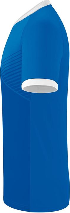 Actual product image Erima Mantua Trikot (164)