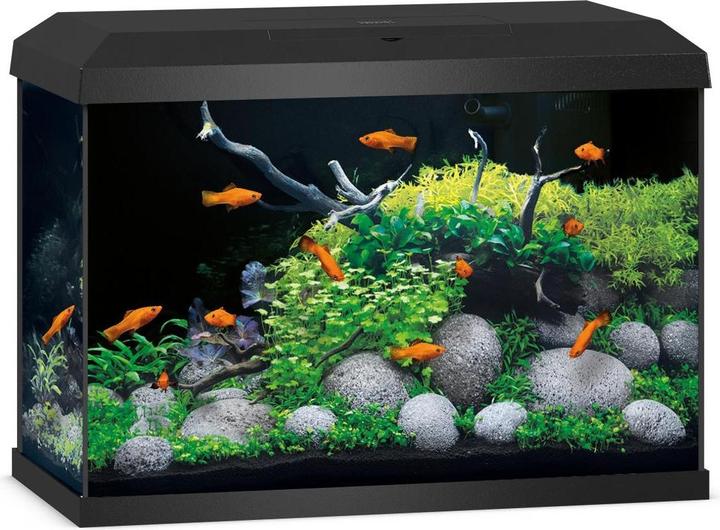 Immagine prodotto Juwel Aquarium Primo 70 (70 l)