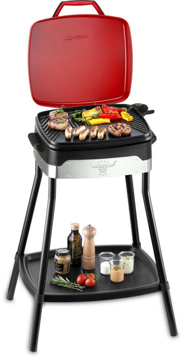 Actual product image Trisa BBQ0683 (2 kW)