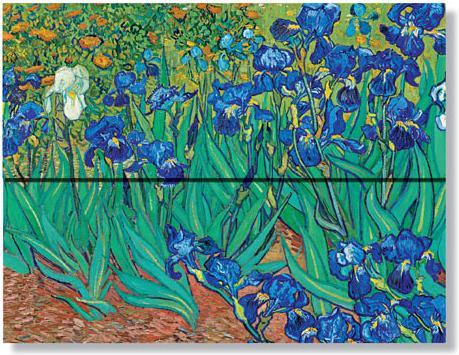 Immagine prodotto Paperblanks Cartelline per Documenti Iris di Van Gogh
