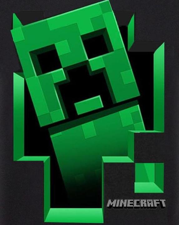 Immagine prodotto Minecraft All'interno dei ragazzi della TShirt (146, 152)