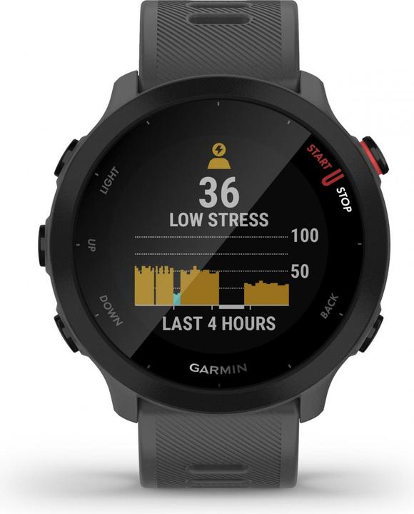 Produktbild Garmin Forerunner 55 (42 mm)