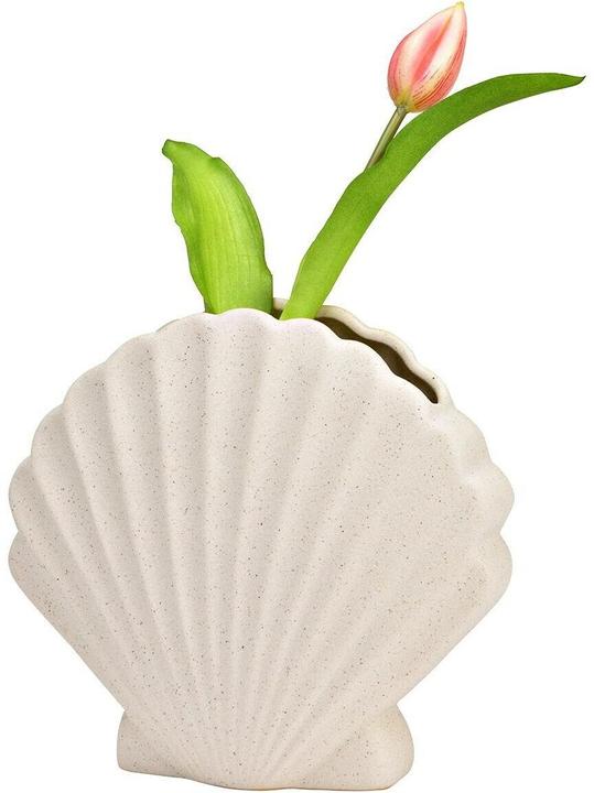 Actual product image G. Wurm Vase Muschel 17 cm, Beige, Assortiert: Nein, Höhe (1 x)