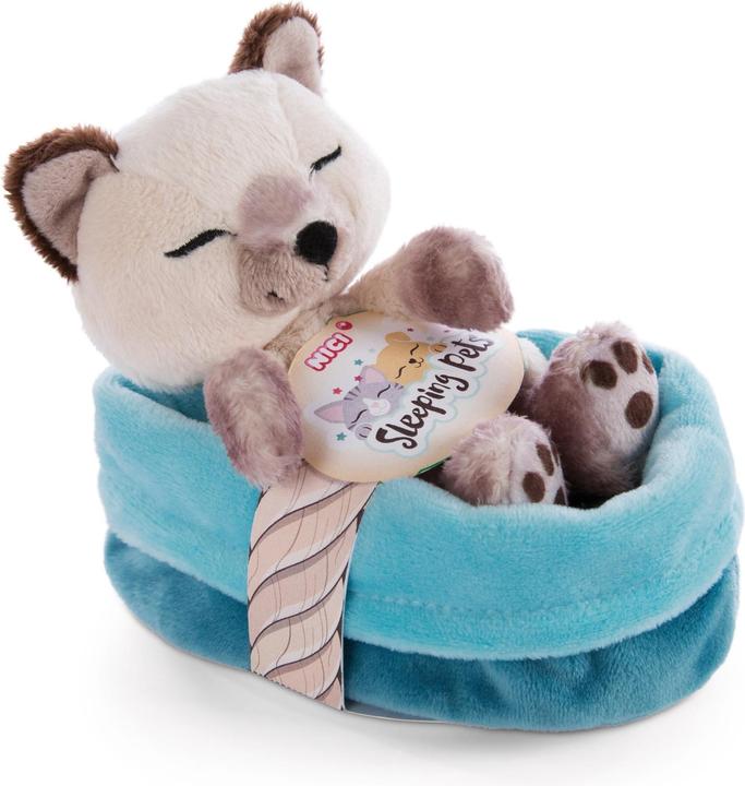 Actual product image NICI 47893 Sleeping Pets Kitten Siamese 12cm in Basket (8 cm)