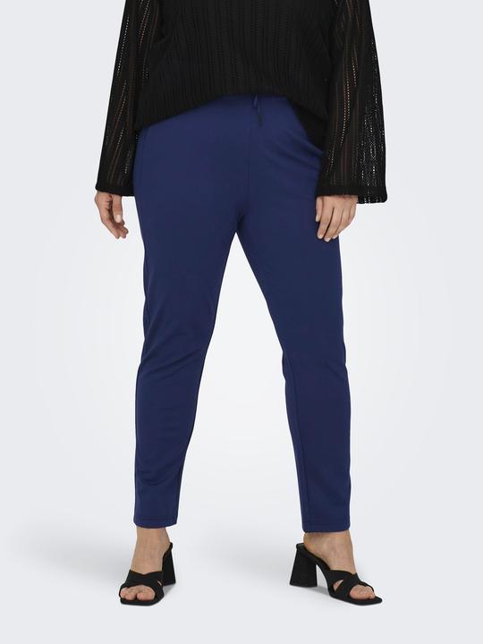 Image du produit Only Curvy pantalon uni (54)