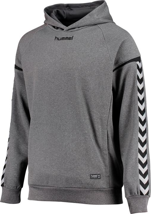 Actual product image hummel Authentic Charge Poly Hoodie (128)