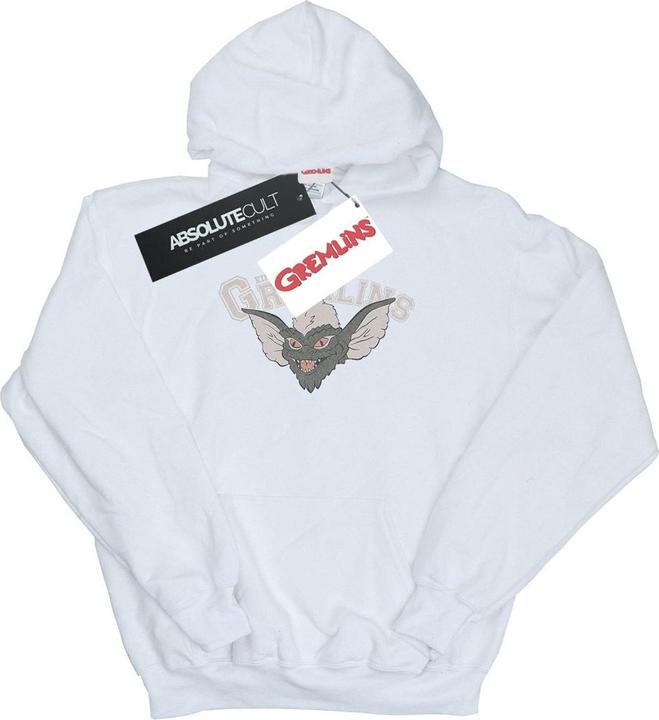 Produktbild Universal Textiles Kingston Falls Sport Kapuzenpullover (L)