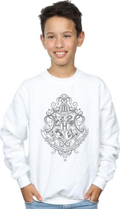 Immagine prodotto Hogwarts Draco Dormiens Crest Felpa Ragazzi (128)