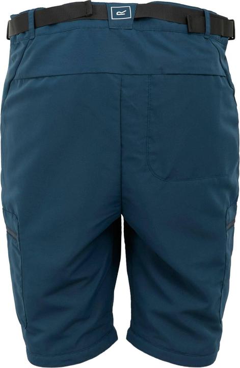 Immagine prodotto Regatta Leesville III Pantaloni da Trekking Cerniera Rimovibile Uomo (42)