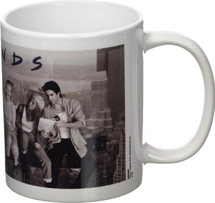 Actual product image Friends Coffee Mug Lunch On A Skyscraper (325 ml, 1 x)