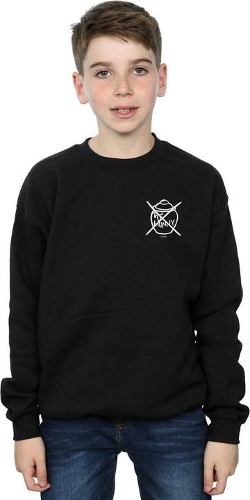 Image du produit Disney - Sweat WINNIE THE POOH NOT HONEY - Garçon (128)