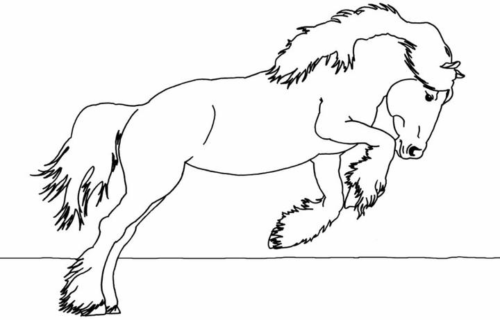 Image du produit Un grand plaisir de coloriage pour les amateurs de chevaux