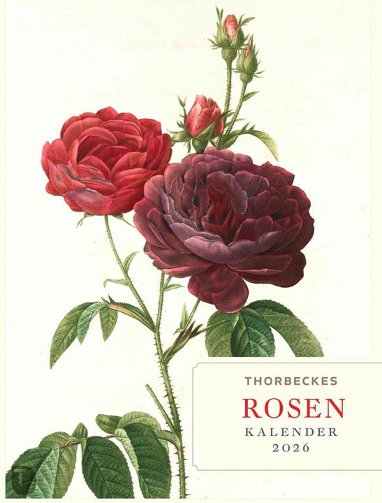 Produktbild Thorbeckes Rosen-Kalender 2026 (24 x 32 cm, Harter Einband, Deutsch)