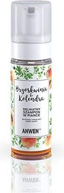 Immagine prodotto Anwen Shampoo per cuoio capelluto secco e sensibile Pesca e Coriandolo 170ml (170 ml, Shampoo liquido)