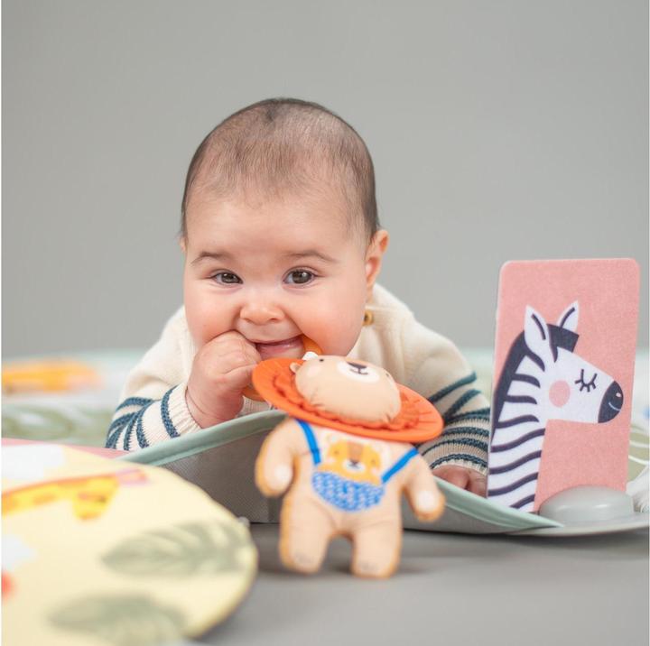 Image du produit Taf Toys Savannah