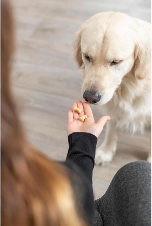 Immagine prodotto Trixie Tappetino da forno con osso (Giocattolo di attività per cani)