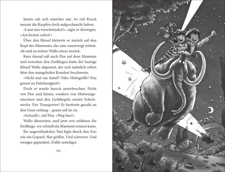 Image du produit Dodo Wallo und das völlig verflixte Zeitreise-Ei (Allemand, Dominik Rupp, Magasin de fées, 2021)