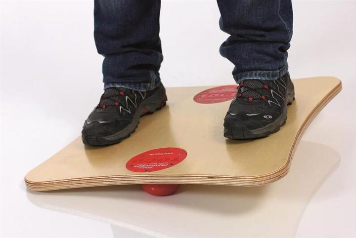 Actual product image Togu Balanza® Physiovibrator