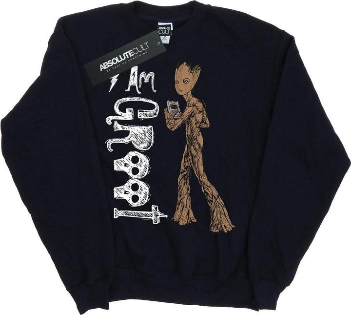 Actual product image Boys Avengers Infinity War I Am Teenage Groot Sweatshirt (140, 146)