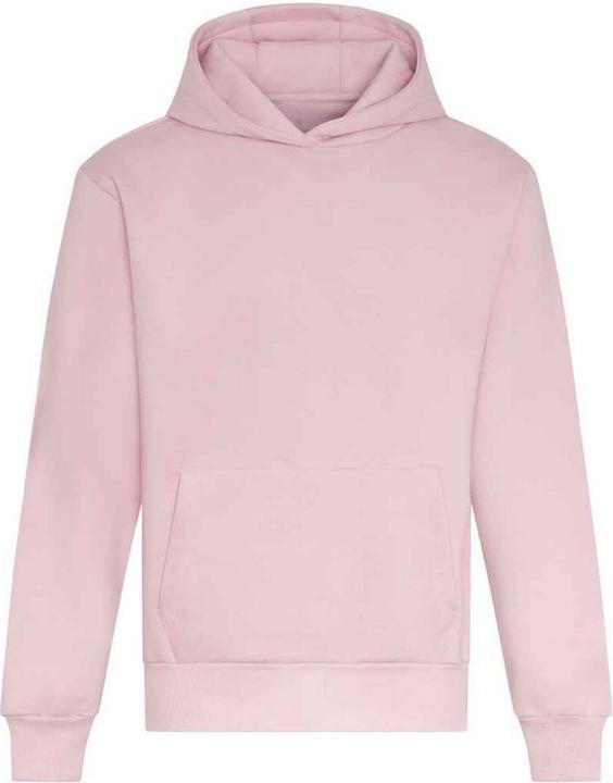 Image du produit Awdis - Sweat à capuche - Adulte (L)
