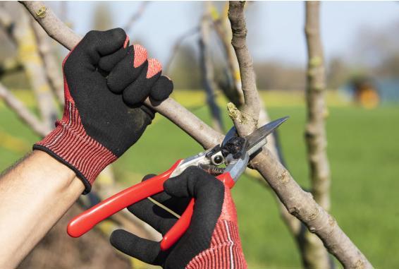 Produktbild Felco Gartenhandschuh (L)