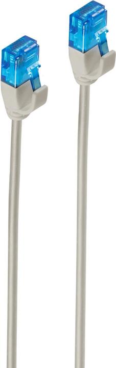 Actual product image Shiverpeaks BS08-22050. cable length: 5 m, cable standard: Cat6, cable shielding: U/UTP (UTP), connector 1: (U/UTP, CAT6, 5 m)