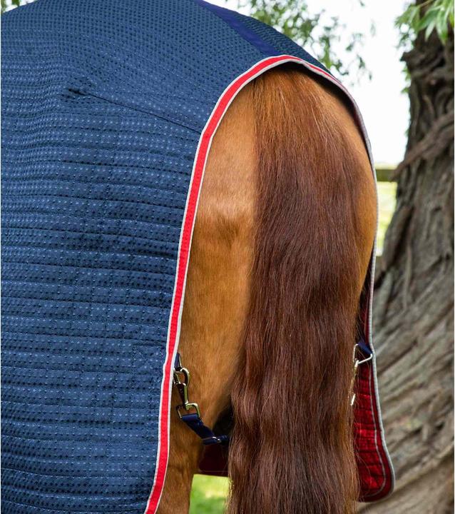 Produktbild Premier Equine Walker 0 g (175 cm)