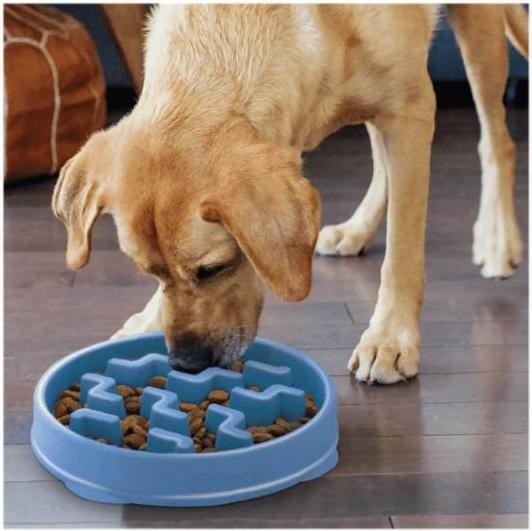 Produktbild Outward Hound Slow Napf Fun Feeder Notch für Hunde Mini
